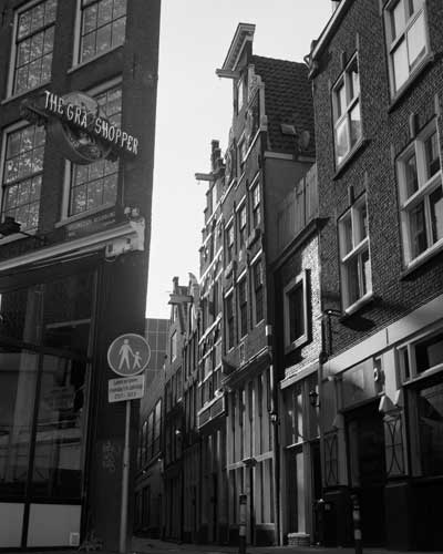 The Grasshopper, Amsterdam, 2003